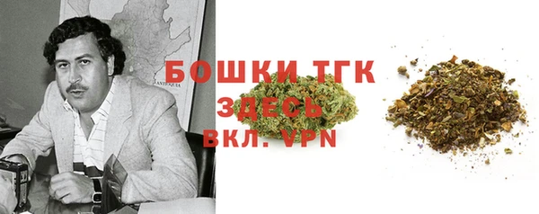 spice Гусь-Хрустальный