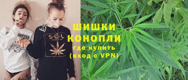 spice Гусь-Хрустальный