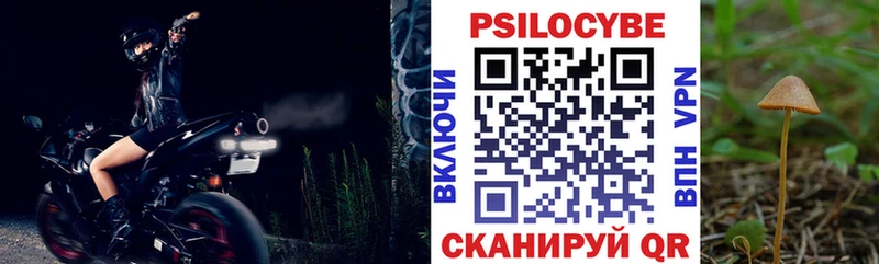 Галлюциногенные грибы Magic Shrooms  Купить где  Талица 